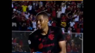 segue o líder!🦁 melhores momentos de vitória e botafogo -sp! vitória 2 x 0 botafogo -sp