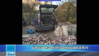 AU PESCUIT ILEGAL PESTE 300 DE KILOGRAME DE PEȘTE