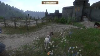 Kingdom Come: Deliverance  покормил Барбоса