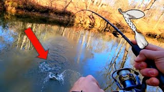 FISHING for LATE STOCKED TROUT with SPINNERS