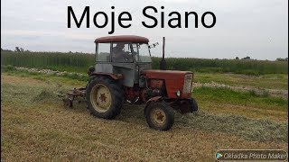 Moje Siano 2019