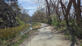 Hiking Pennyfield Lock to the WSSC water intake on the C&O Canal, 3/17/2024