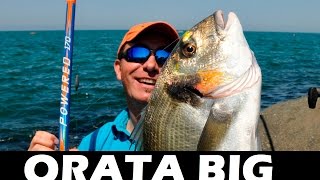 ORATA BIG in PESCA a FONDO con la canna da pesca TELESCOPICA da scogliera - Cattura sparus auratus