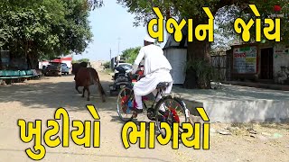 વેજાને જોય ખૂટીઓ ભાગ્યો  | દેશી વિડિયો  | Gujarati Comedy Video | Desi Paghadi