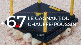 LE GAGNANT DU CHAUFFE-POUSSINS │LFDT #67