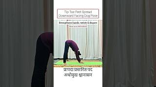 Tip Toe Downward Facing Dog #shorts #shortsviral