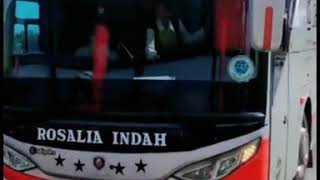 Story Wa Pramugari Bus Rosalia Indah Mbak Natalian dp