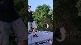 BASS FISHING 2023!!! TOP WATER FISHING! BOAT FLIPS!