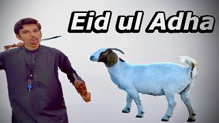 Eid ul Adha Special vlog | Matches on Eid