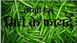 BENEFIT OF GREEN CHILI  तीखी हरी मिर्च के फायदे mirchi ke Fayed|| tikhi Hari mirch|| chilly|| mirch