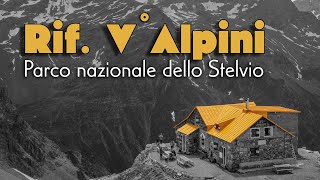 Quinto Alpini