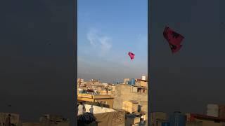 20 Tawa in Rawalpindi Basant 2024🙀🔥  #kiteflying