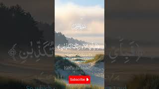 سورۃ رحمن کی ایات کی تلاوت بمہ ترجمہ کے ساتھ❤️❤️