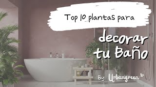 Las 10 Mejores Plantas para Ambientar tu Baño 🌿🛁: ¡Transforma tu Espacio! | Consejos Urbangreen