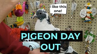 Guapon GOES to a bird FARM!