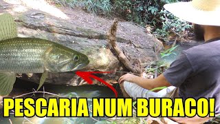 PESQUEI NUM BURACO E TINHA PEIXE!