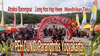 Atraksi Barongsai Dan Liong Memeriahkan Perayaan PEH CUN Di Parangtritis Yogyakarta