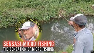 Sensasi Micro Fishing / The Sensation Of Micro Fishing