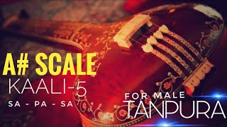 Ep.08:  RIYAZ WITH TANPURA  A# SCALE  (KAALI-5)  | SA - PA - SA |  FOR MALE