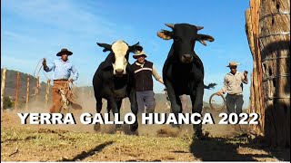 YERRA GALLO HUANCA 2022