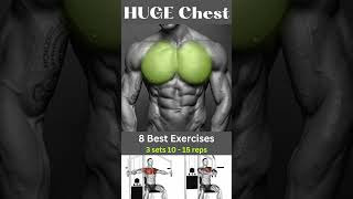 Chest Workout - efficient training session #youtubeshort #ytshorts #workout