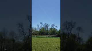 volando chichigua con mi hijos #usa #chichigua #kitelife #kite #park #hobby #papalote flight kite