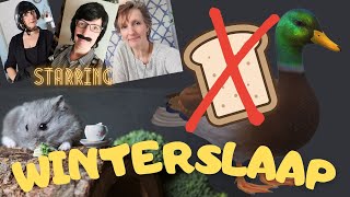 Winterslaap en brood slecht voor eendjes