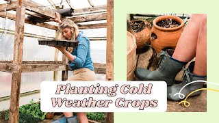 Come Garden with Me!  Tips for Cold Weather Crops