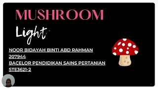 MUSHROOM LIGHT: 3D DRAWING PROJECT (NOOR BIDAYAH ABD RAHMAN 207944)