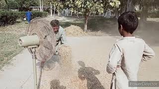 PK Village life daily work!!pk village life!!simple life!!Clean black gram