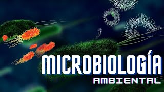 🚀 MICROBIOLOGÍA AMBIENTAL (Especialización) 🍃 [Campo Laboral - Tesis - Investigación] 🎁