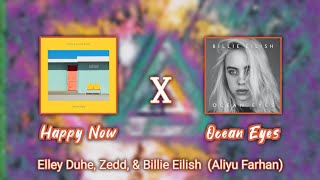 Happy Now X Ocean Eyes -Elley Duhe, Zedd, & Billie Eilish (Aliyu Farhan)