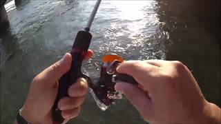 Light Fishing (Sea Bass) in Hamanako (Japan)