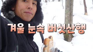 한겨울 폭설에  버섯산행