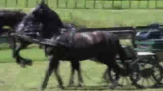 Untamed and Uncut: Horse kicks rider's face