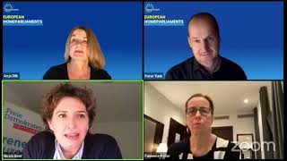 Webinar with Nicola Beer and Fabienne Keller from Renew Europe on the European HomeParliaments