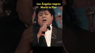 Los Angeles negros. Murió la flor