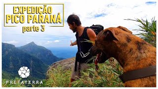 SUBINDO MONTANHA COM A LOLA - Expedição Pico Paraná (parte 3)