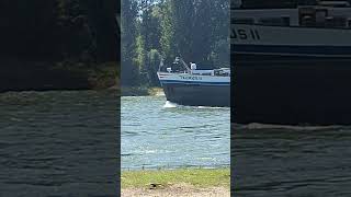 das #schiff Taunus 2 auf Bergfahrt  #video #videos #rhein