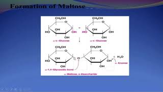 CHEMISTRY10 LECTURE:77 UNIT:13 TOPIC: GLYCOSIDIC LINKAGE