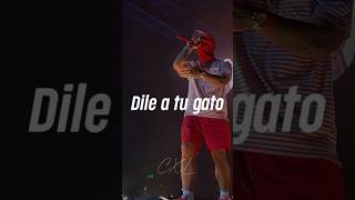 Anuel y Floyymenor- Pa la europa #anuel #music IA