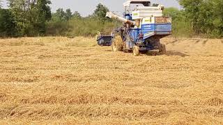 New Holland 5500 harvester