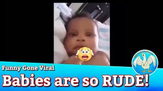 Funny Gone Viral / fails, funny animals and babies with attitude, hilarious compilation video