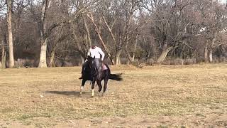 Mercedes-offered by West Fork Ranch