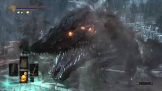 DS3 champions ashes, watchdog dies from falling, and it couldn't get up