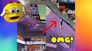 【CRAZY VIDEO】MIAMI HURRICANES FANS SAVED A CAT THAT FELL FROM THE UPPER BOWL DURING THE GAME!!!!