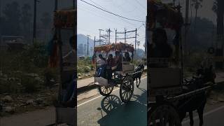 ঘোড়ার গাড়ি ❤️ horse carriage  #horse carriage #tourism #bihar #rajgir