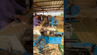 Plywood Cutting Machine #shorts