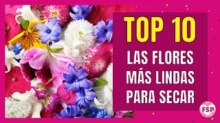 🌷TOP 10 DE FLORES PARA SECAR O PRENSAR🌷 ¿Cuál es tu flor favorita? #floressecas #floresprensadas