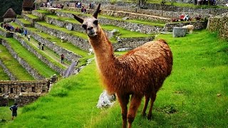 Motoventuring Ep 80 - Gnarly Dirt and Twisty Mountain Passes from Cusco to Machu Picchu!